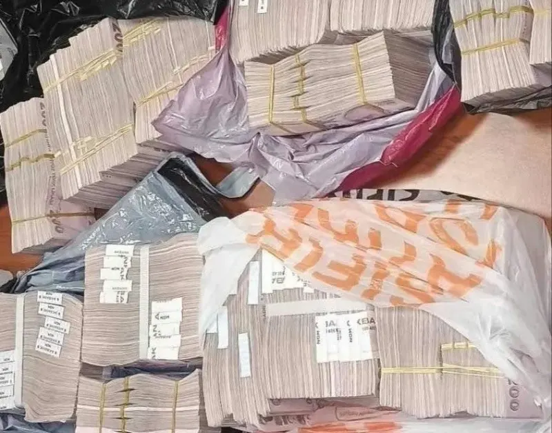 Dereköy Sınır Kapısı'ndan Bulgaristan'a Geçen Yolcunun Valizinden Milyonlar Çıktı
