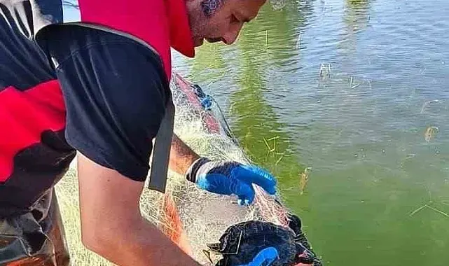 Çorum Barajı'nda 2 bin 800 metre ağ ele geçirildi