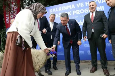 Trabzon Maçka'da Üreticilere Karayaka Koyunu Desteği