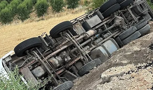 Arpa yüklü kamyon şarampole devrildi