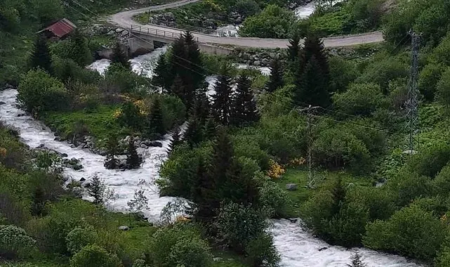 Beyaz örtü kalktı, Rize yaylaları yeşile büründü
