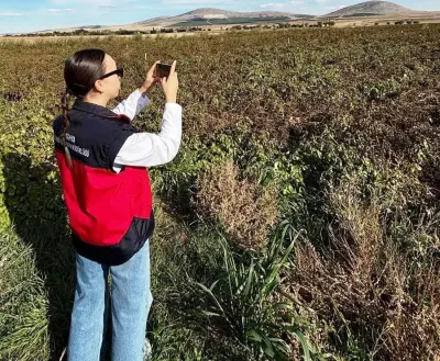 Kütahya Altıntaş Tarım Müdürlüğünden Parsel ve Yem Bitkisi Denetimi