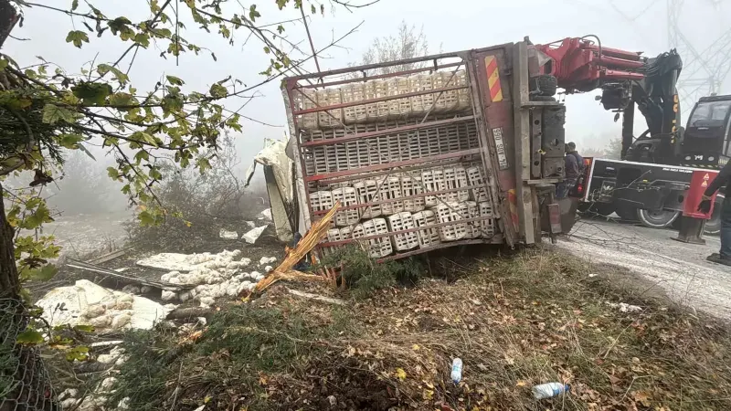 Bolu'da Tavuk Yüklü Kamyon Devrildi: Dört Yaralı