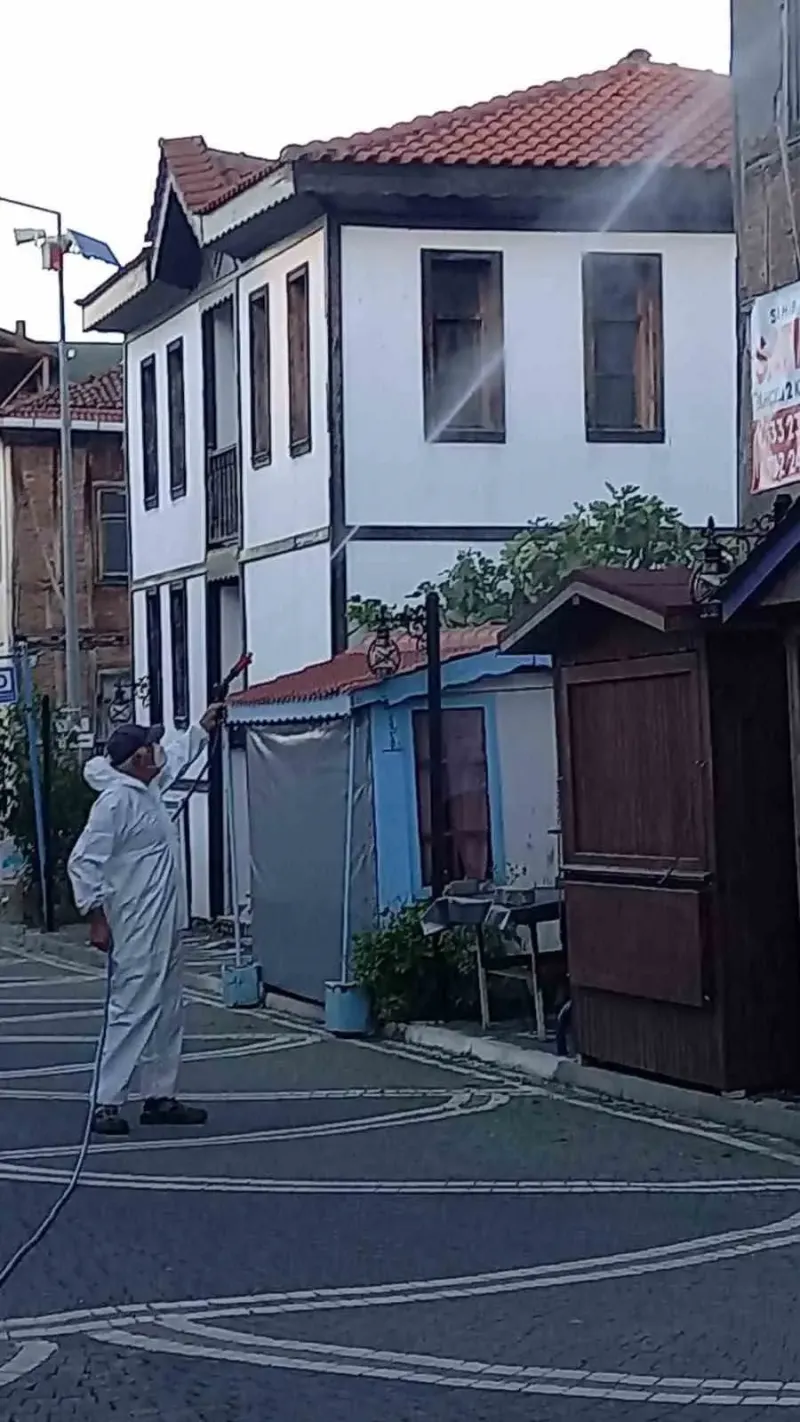 Düzce Akçakoca Muhtarından Kahverengi Kokarcaya Karşı Bireysel İlaçlama Hamlesi