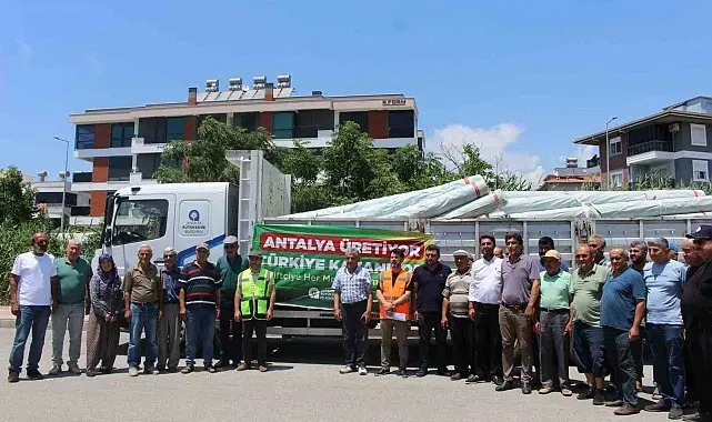 Büyükşehir'den Gazipaşalı üreticilere naylon desteği