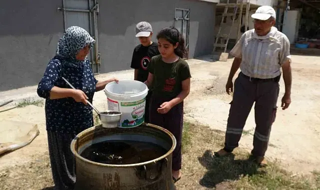 Dut bolluğu pekmez üretimini artırdı