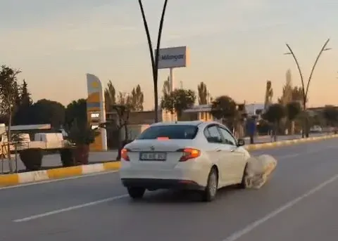 Akhisar Karayolunda Otomobil Sürücüsü Başıboş Keçilere Çarptı