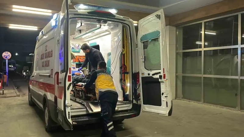 Babasını Hastaneye Gönderen Sürücü Domuza Çarparak Yaralandı