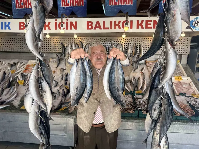 Son 25 Yılın En Bol Sezonu: Palamutun Kilosu 100 Türk Lirasına Düştü