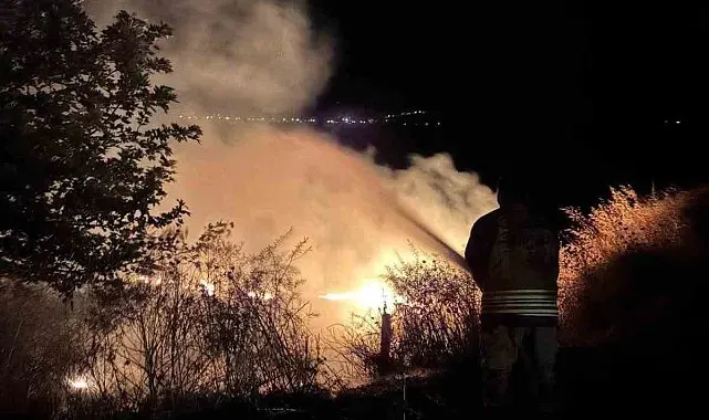 Kırıkhan'da otluk alandan alevler yükseldi