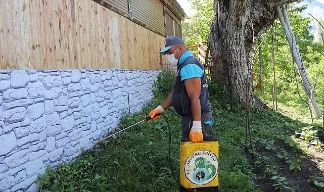 Oltu Belediyesi'nden kene ile mücadelede yoğun mesai