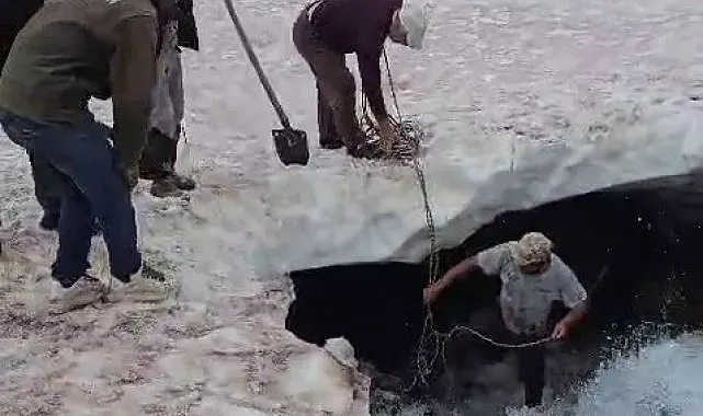 Tortum'da buzullarda dana kurtarma operasyonu