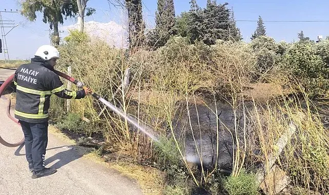 Reyhanlı'da zeytinlik alandan alevler yükseldi