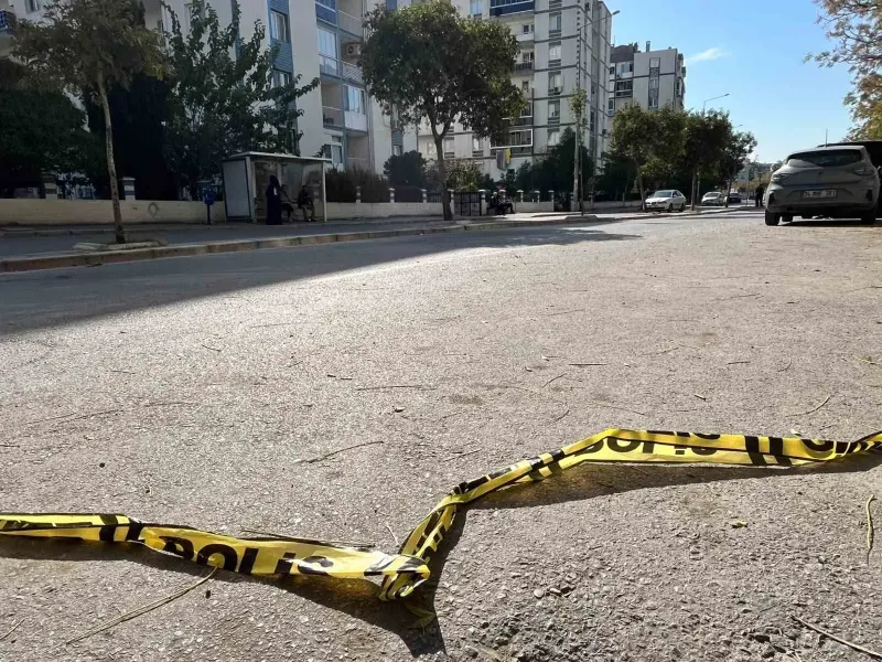 İzmir'de Emekli Astsubay Kardeşlerin Kavgası Cinayetle Bitti