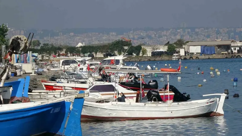 Karadeniz'de Palamut Bolluğu Balıkçilari Endişelendiriyor