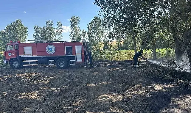 Muratlı'da buğday tarlasında yangın