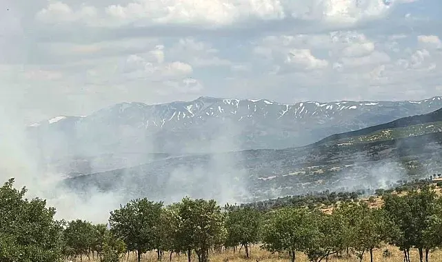Bingöl'de çıkan orman yangını büyümeden kontrol altına alındı
