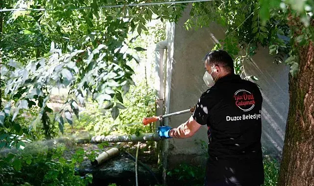 Vatandaşlara, Asya Kaplan sivrisineği uyarısı