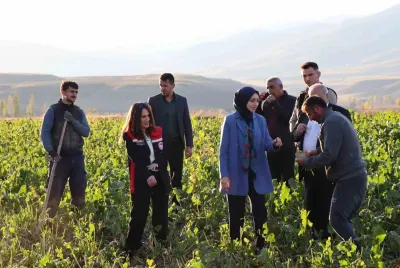 Tercan Kaymakamından Bölgedeki Çiftçilere Ziyaret