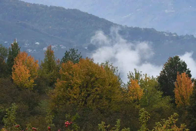 Sakarya Hendek Dikmen Yaylası Sonbahar Renklerine Büründü