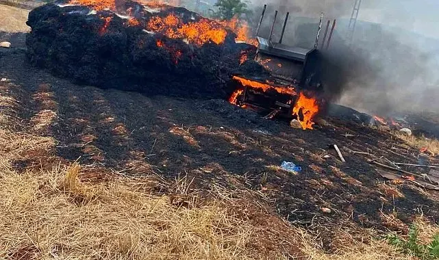 Tarsus'ta saman balyaları alevlere teslim oldu