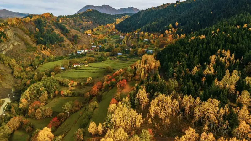 Artvin'in Yüksek Kesimlerinde Sonbaharın Renk Cümbüşü Hayran Bırakıyor