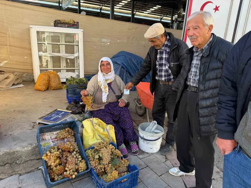 Denizli'nin Meşhur Koçak Üzümü Pazardaki Yerini Aldı