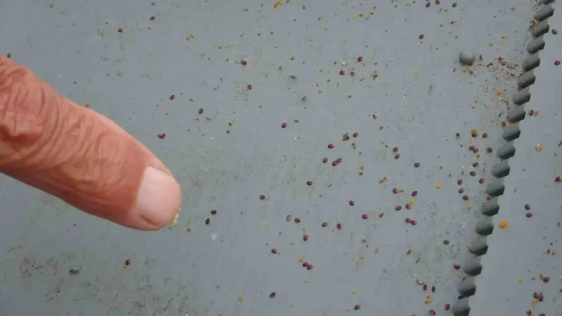Ardahan'da Arıcılar İçin İlkbahar Öncesi Varroa Uyarısı Yapıldı