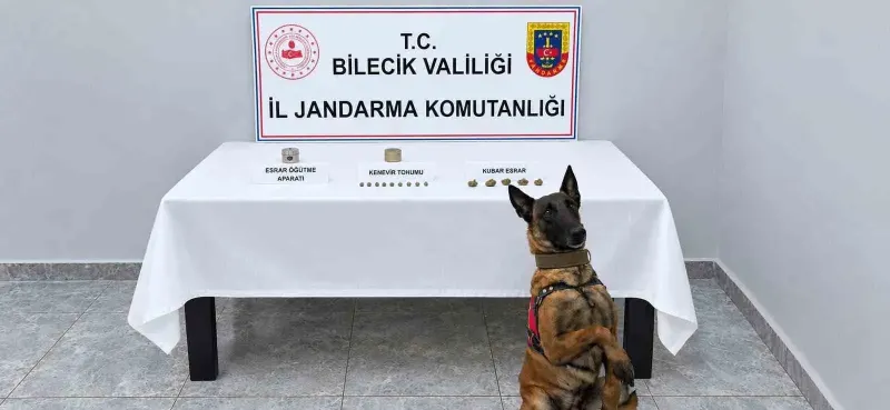 Bilecik'te Düzenlenen Uyuşturucu Operasyonunda Narkotik Köpeği Detektör Oldu