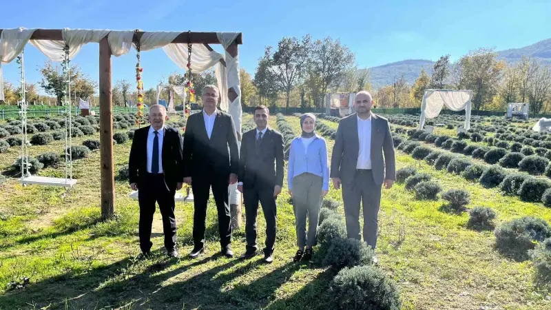 Samsun Kavak İlçesinde Lavanta Üretimi Yapan Kadın Girişimciye Ziyaret Gerçekleşti