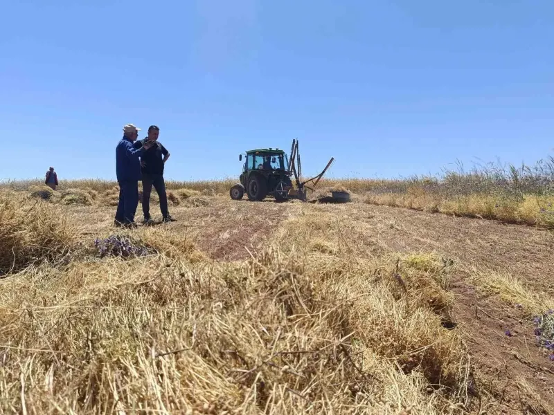 Sadıkhacı Kırmızı Mercimeği Dünya Piyasasına Açıldı
