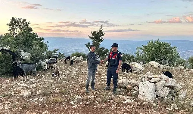 Mersin'de kayıp 40 küçükbaş dronla bulundu
