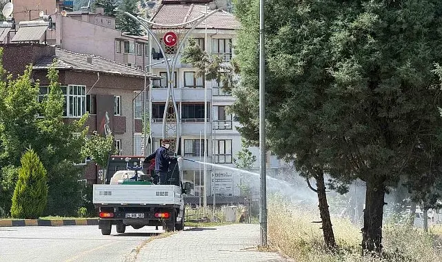 Karabük'te sinek ve haşereyle mücadele çalışmaları sürüyor