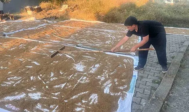 Çiçekdağı ilçesinde geleneksel bulgur yapımı başladı