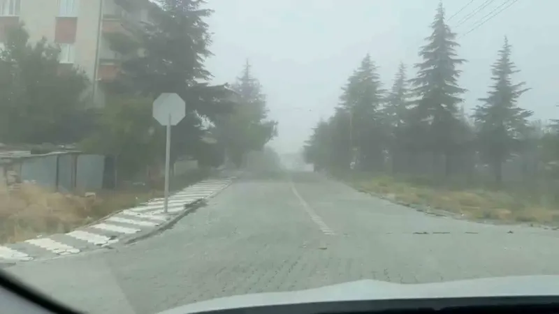 Sivrihisar İlçesinde Etkili Olan Yoğun Sis Ulaşımı Aksatıyor