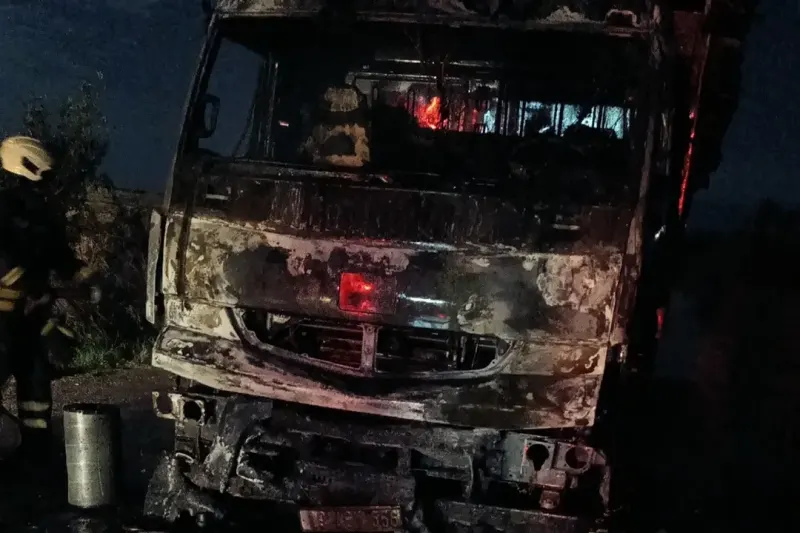 Samsun'da Odun Yüklü Kamyon Alevlere Teslim Oldu