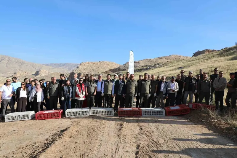 Batman Hasankeyf'te Doğal Yaşamı Destekleme Çalışması Kapsamında Ceylan ve Kınalı Keklik Salındı