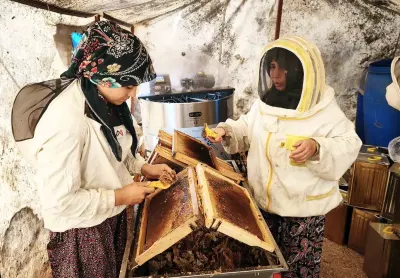 Muğla'da Arıcıların Glikozlu Bal İsyanı