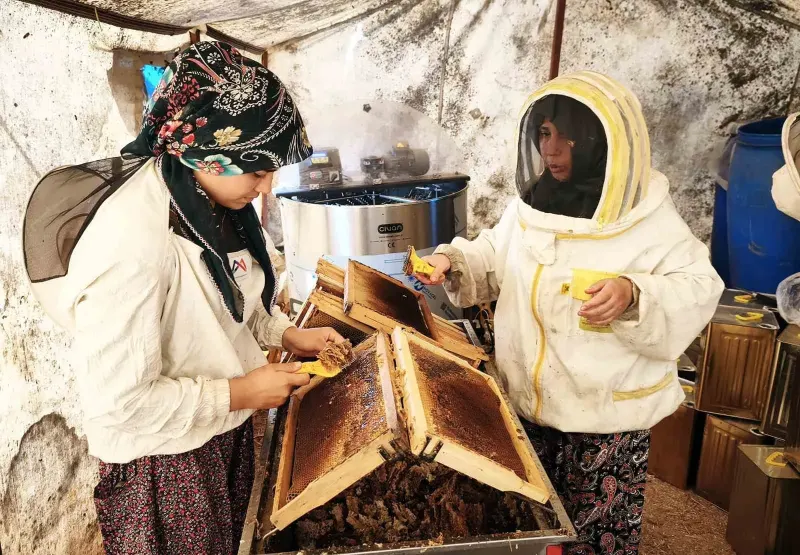 Muğla'da Arıcıların Glikozlu Bal İsyanı
