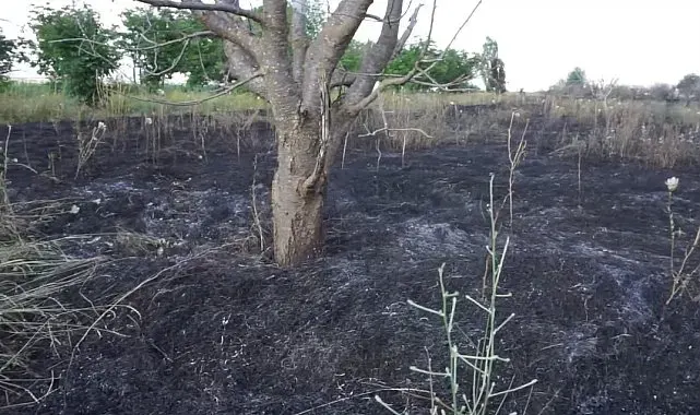 Burdur'da 15 dönümlük alan yangında zarar gördü
