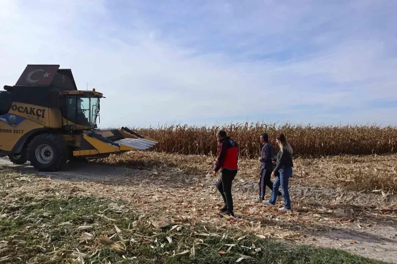 Karapınar'da Tarım Müdürlüğünden Dane Mısır Hasadı Denetimi