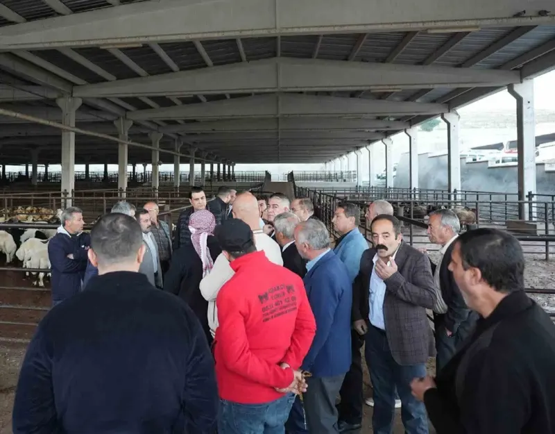 Şehitkamil Belediyesinden Uygun Fiyatlı Et Projesi