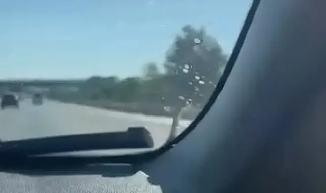 Seyir halindeki aracın kaputunda yılan paniği