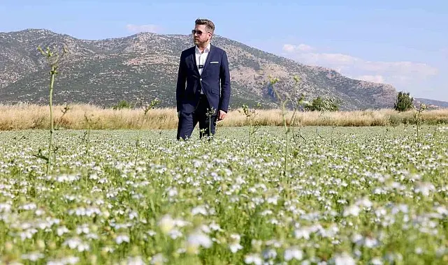 Tavas'ta karacaot ekiminde verimlilik testi yapılıyor