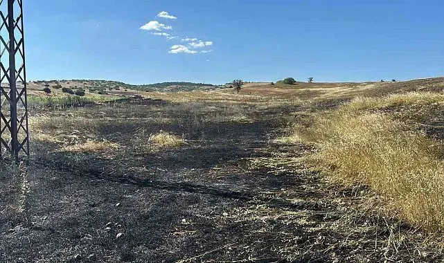 Tavşanlı'da hasat sırasında çıkan yangında 15 dönüm tarla kül oldu