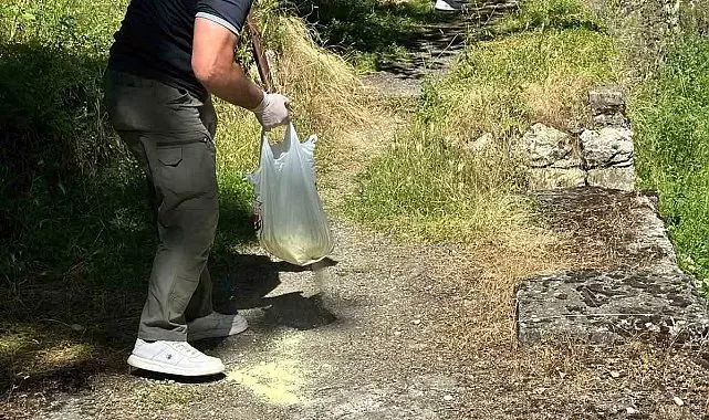 Bilecik'te piknik alanlarında ilaçlama çalışması gerçekleştirildi