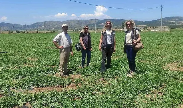 Medetli karpuzu iyi tarımla geleceğe taşınıyor