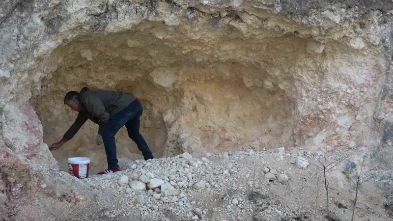 Amasya Bölgesinde Geleneksel Üzüm Pekmezi Mesaisi Başladı