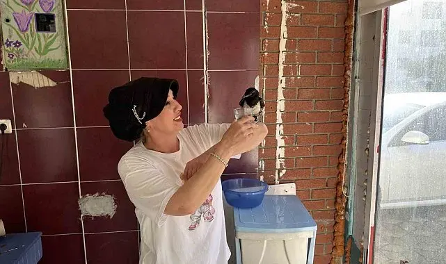 Yaralı bulduğu yavru saksağan kahvaltı arkadaşı oldu