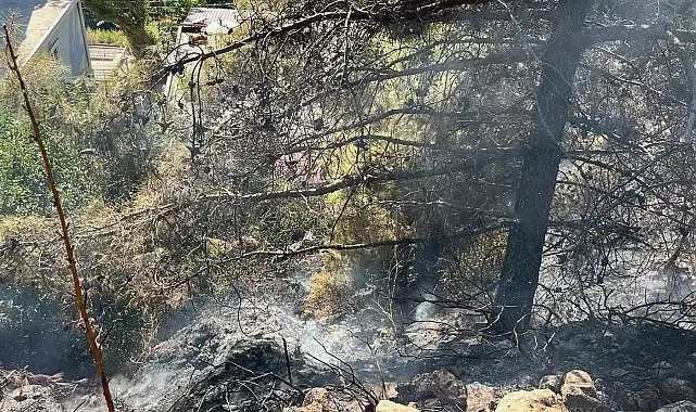 Alanya'da çalılık alanda çıkan yangın söndürüldü